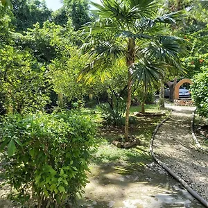 Mini Pini Bird Watching Loft Cozumel